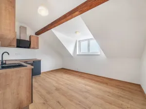 Pronájem bytu 3+kk, Plzeň, Dvorní, 61 m2