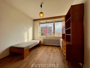 Pronájem rodinného domu, Brno, Nedbalova, 216 m2