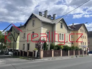 Pronájem bytu 2+1, Karlovy Vary, Kamenického, 65 m2