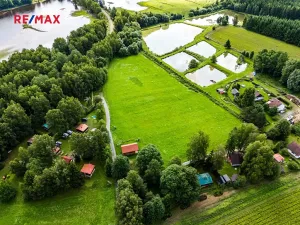 Prodej komerčního pozemku, Nová Pec, 9752 m2