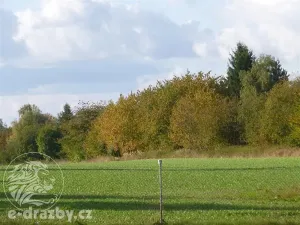 Dražba rodinného domu, Chotěboř, U Sv. Trojice, 100 m2