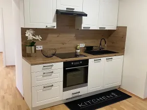 Prodej bytu 2+1, Praha - Staré Město, Náprstkova, 73 m2