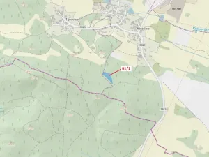 Dražba lesa, Pačejov, 3251 m2