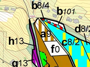 Dražba lesa, Třinec, 1981 m2