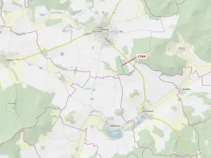 Dražba lesa, Koloveč, 7329 m2