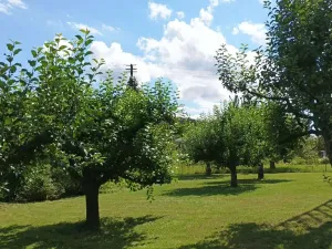 Prodej pozemku pro bydlení, Turnov, 2751 m2