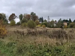 Prodej pozemku pro bydlení, Skalná, Písečná, 10095 m2