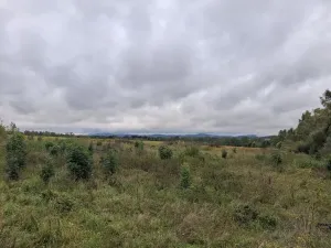 Prodej pozemku, Chodov, Nejdecká, 3546 m2