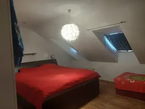 Prodej rodinného domu, Kynšperk nad Ohří, Sokolovská, 508 m2