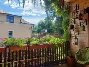 Prodej rodinného domu, Kynšperk nad Ohří, Sokolovská, 508 m2