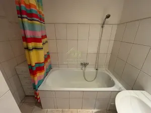 Pronájem bytu 2+1, Plzeň, Lindauerova, 55 m2