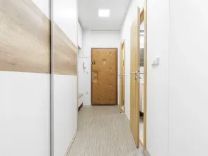 Pronájem bytu 2+1, České Budějovice, Netolická, 47 m2