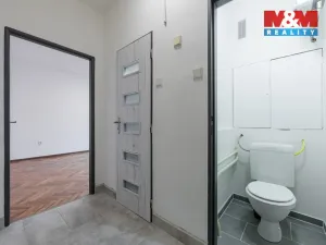 Pronájem bytu 1+1, Cheb, Kasární náměstí, 30 m2
