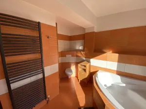 Pronájem bytu 5+kk, Liberec, Wintrova, 150 m2