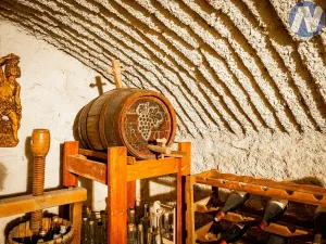 Prodej rodinného domu, Paračov, 388 m2