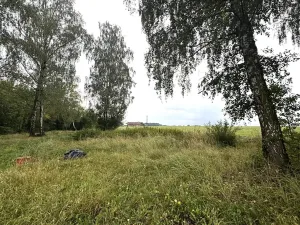 Prodej pozemku pro bydlení, Lučina, 2602 m2
