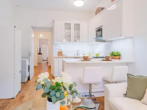 Prodej bytu 2+kk, Praha - Vyšehrad, Vratislavova, 56 m2