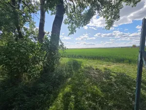 Prodej lesa, Cvrčovice, 4746 m2