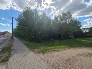 Prodej lesa, Cvrčovice, 4746 m2