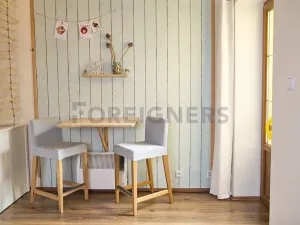 Pronájem bytu 1+kk, Praha - Žižkov, Na chmelnici, 26 m2