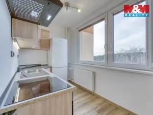 Pronájem bytu 2+1, Plzeň - Nová Hospoda, 58 m2