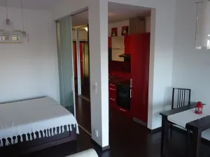 Pronájem bytu 1+kk, Praha - Holešovice, Jankovcova, 43 m2