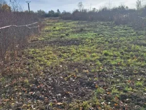 Prodej zahrady, Brno, Podzimní, 928 m2