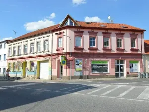 Pronájem bytu 1+kk, České Budějovice, K. V. Raise, 52 m2