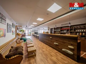 Prodej restaurace, Frýdlant nad Ostravicí - Lubno, 533 m2