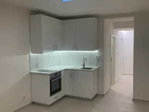 Pronájem bytu 1+kk, Praha - Vinohrady, Nad olšinami, 27 m2