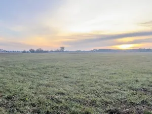 Prodej pole, Oseček, 76028 m2