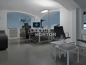 Prodej obchodního prostoru, Praha - Karlín, Šaldova, 210 m2