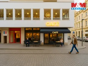 Pronájem restaurace, Plzeň - Vnitřní Město, 182 m2