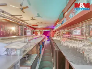 Pronájem obchodního prostoru, Plzeň - Jižní Předměstí, Havlíčkova, 185 m2