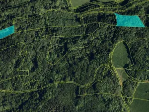 Prodej lesa, Ženklava, 21563 m2