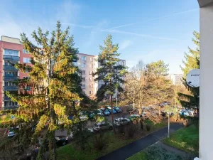 Prodej bytu 2+kk, Praha - Kamýk, Seidlova, 45 m2