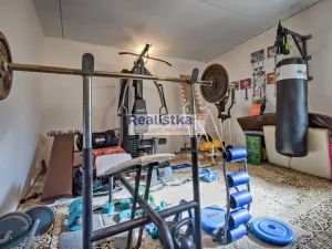 Prodej rodinného domu, Blovice, U Trati, 320 m2