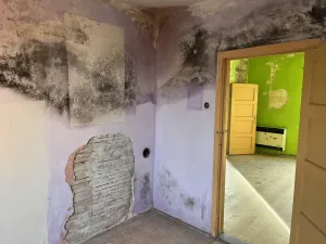 Prodej rodinného domu, Libuň, 95 m2