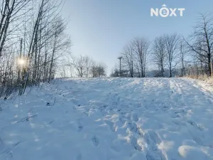 Prodej rodinného domu, Potštát, 26 m2