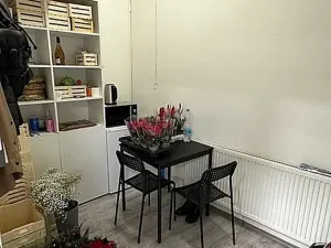 Pronájem obchodního prostoru, Brno, náměstí Svobody, 64 m2