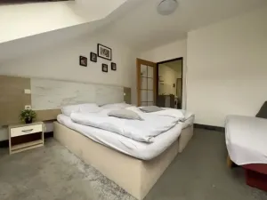Pronájem bytu 2+kk, Praha, 50 m2