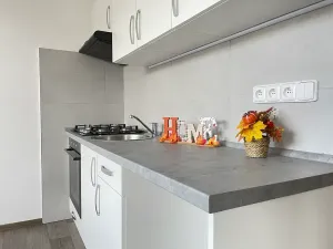 Pronájem bytu 1+1, Litvínov, Rooseveltova, 34 m2