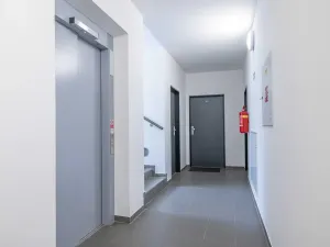 Prodej bytu 1+kk, Heřmanova Huť, U Pondu, 35 m2