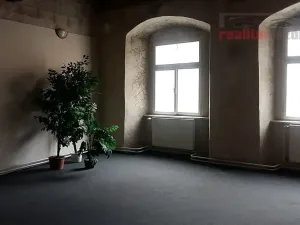 Prodej domu, Jihlava, Palackého, 490 m2