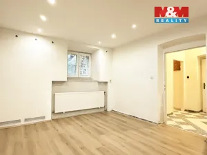 Pronájem bytu 1+1, Plzeň - Jižní Předměstí, Němejcova, 33 m2