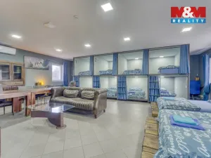 Prodej obchodního prostoru, Stružná, 216 m2