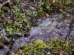 Prodej chalupy, Nevězice, 128 m2