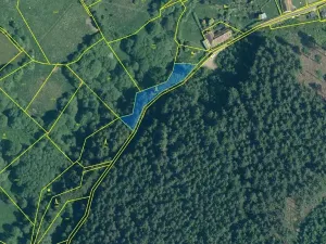 Prodej lesa, Žihobce, 802 m2