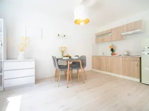 Prodej bytu 2+kk, Jeseník, Na Mýtince, 56 m2