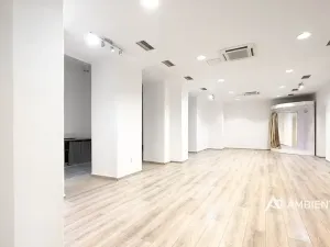 Prodej obchodního prostoru, Brno, Masarykova, 494 m2